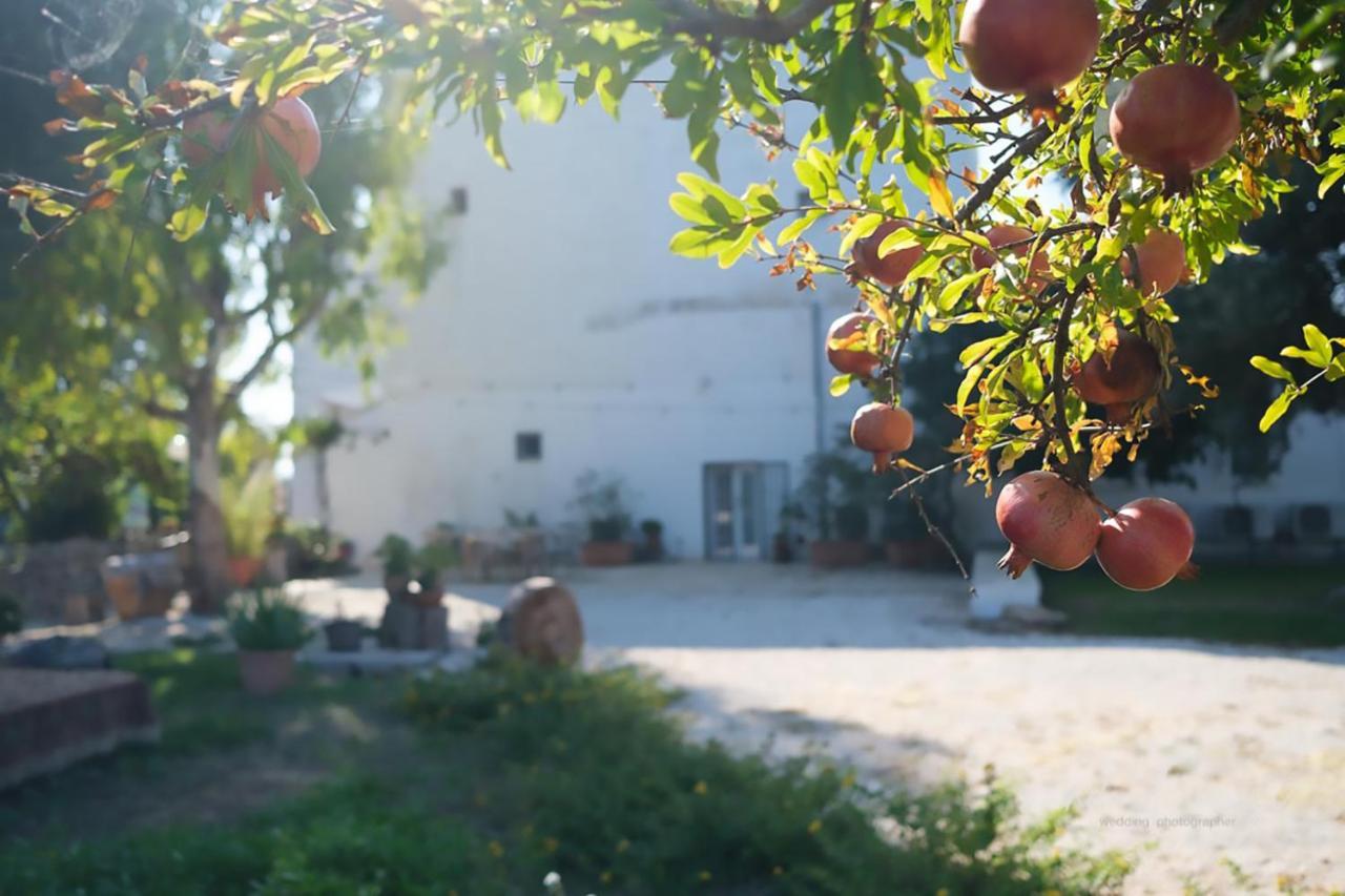 Masseria Giangrande - Rooms And Apartment Polignano a Mare Exterior photo