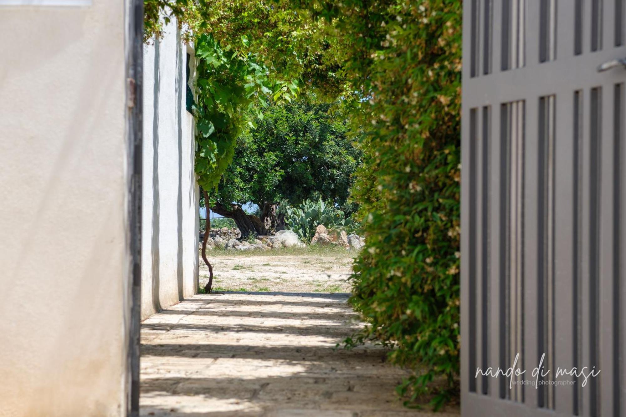 Masseria Giangrande - Rooms And Apartment Polignano a Mare Exterior photo