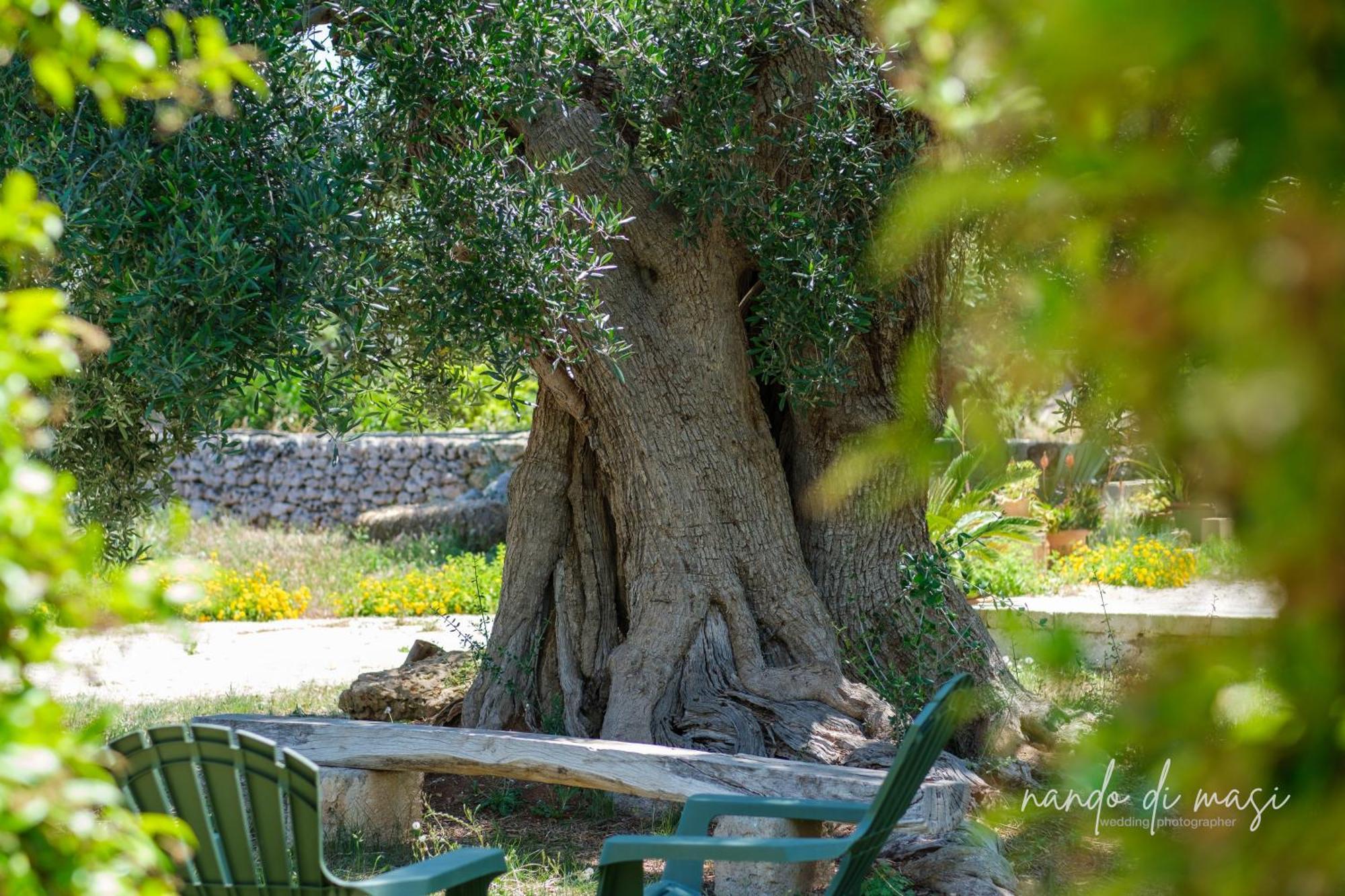 Masseria Giangrande - Rooms And Apartment Polignano a Mare Exterior photo