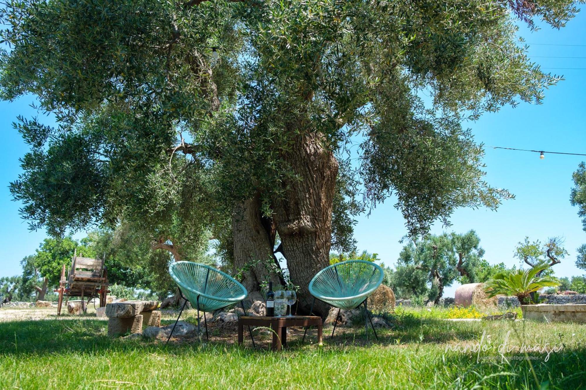 Masseria Giangrande - Rooms And Apartment Polignano a Mare Exterior photo